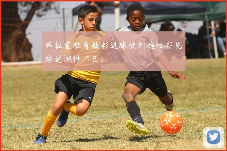 弗拉霍维奇精彩进球被判越位在先球迷惋惜不已