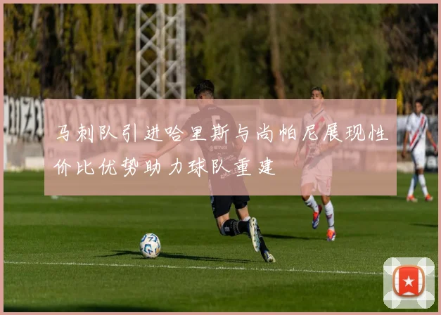 马刺队引进哈里斯与尚帕尼展现性价比优势助力球队重建